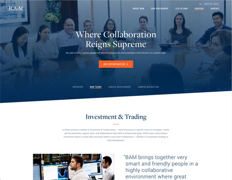 Image of Careers page on the BAM public site